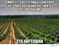 Почему русские сумасшедшие?