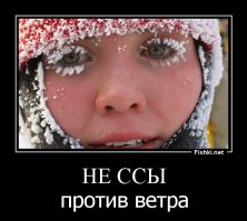 Сотрудники обсерватории развлекаются при ветре скоростью более 175 км/ч