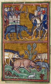 И с зайцами у них там,  похоже, беда былабыла.