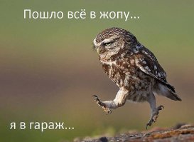 Это вообще прямо про меня