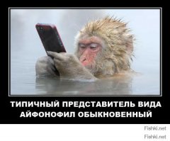 "Начал искать, решил покупать в "белых" магазинах, т.к. в "серых" легко можно попасться на подделку (чехол - не смартфон, еще сложнее проверить)." Покупать на гей-фон "оригинальный" чехол - это клиника уже. Все эти чехлы шьются в подвале дядюшки Ли. И правду говорят, что яблодрочер - это диагноз.