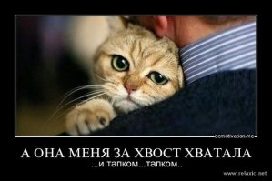 Как выбирать питомцев?