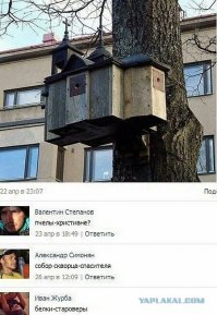 10 интересных фактов о минидомах