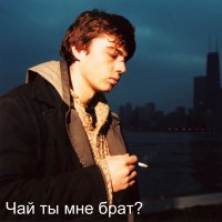 Лекарственные растения России