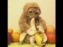 ок, братэлло! встречу с гостинцем!