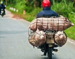 Стойте, стойте. Ща еще парочку другую подкину