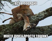 добрый леопард спасает бедную изрядно перебравшую алкоголя антилопу, не позволяя ей замерзнуть на холодной земле.