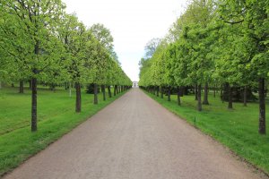 7 лет жил на Английской набережной ( не около, на самой, и окна на Неву) переехал в новостройки и вздохнул свободно. Место в паркинге под домом 3000 в месяц, в центре парковаться не где, только ночью. Продуктовых магазинов нет, только пиво и сникерсы, садик в 5 кварталах ( транспорт не ходит, пешком далековато, нужно ездить на машине, у садика на Почтамтской парковаться не где - ребёнка раздеть одеть 10мин, машина стоит во втором ряду или закрывает подворотню. Школа на углу Пирогова и Фонарного - 7 кварталов - ребёнка одного не отправить. Сейчас садик во дворе, школа на торце дома. Окна не открыть - подоконник сразу серый от пыли и очень шумно. Подворотня всегда зассана, народ гуляет по набережной - красиво ведь! а туалетов нет, на выходные и праздники лужа такая что не пройти.( а кстати где Вы писаете когда гуляете вдоль Невы?) Да просто с детьми погулять не где, что бы они могли побегать и на великах покататься. Когда у Вас появятся дети - запоёте по другому.
 
Толп иностранцев ни когда не было, ни где, если только у Эрмитажа, да и то там толпа потому что тротуар не большой, в Лувре были? сравните количество. Если сравнивать с Пикалёво то да, толпа. Вчера был в Петергофе, ( билет 450 рублей, и без паспорта не продадут( вдруг ты хохол и не хочешь 700 платить) иностранцы есть, но очень мало,да и вообще народу как то мало.
