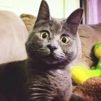 Нифигасе!!!