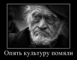Пассажиры чудом выжили при падении самолета в виноградник