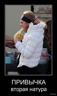 Эти фото докажут вам, что привычки сильнее нас