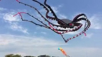 Началось!