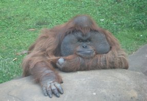 Сменил трех хозяев))))