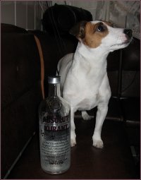 У них всё под контролем.