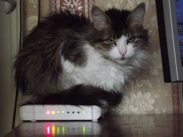 У них всё под контролем.