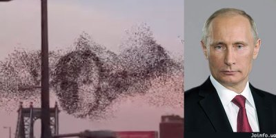 Путин подмигнул ньюйоркцам с экрана Таймс-сквер и исчез