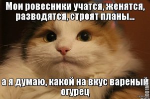 Это, самая лучшая картинка, по сути сюжета...