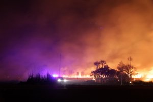 Пожар в засушливом австралийском лесу.
