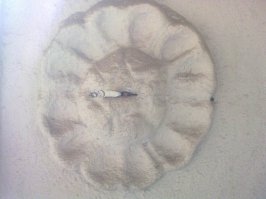 Отчего на этом фото не замечают ничего, кроме кирпичей