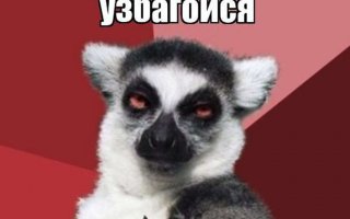 Эти фото докажут вам, что привычки сильнее нас