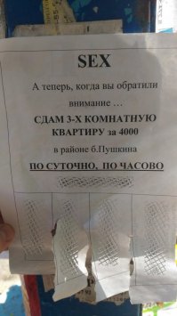качественно скрыт номер 8 776 377 77 65