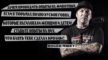 Кролик не бигль! Но в точку 100%.