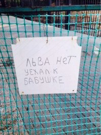 Фотоподборка за 18.05.2016