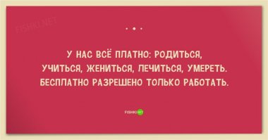 горькая правда