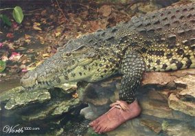 А могло быть и так )))