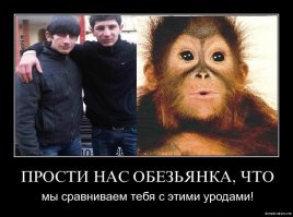 Про спорт и про людей