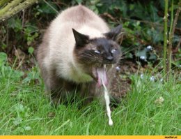 Перевоплощение старого Range Rover 80-х в современную модель