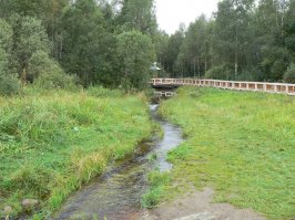 Только не смейтесь. Периодически езжу на оз.Стерж (Осташковский р-он, Тверская обл.)на рыбалку и вот такая она река Волга в истоке !