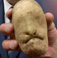 Поразительная разгадка того, что вы примете за голову девушки