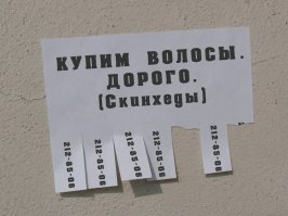 Что выйдет, если не стричься 13 лет