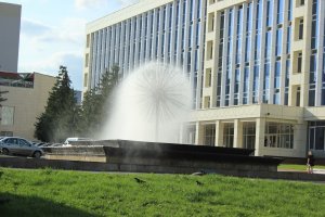 Это разве одуванчик? Вот одуванчик г. Саранск р.Мордовия.