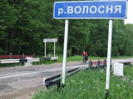 Что выйдет, если не стричься 13 лет