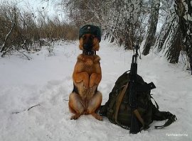 А погранцы!? А ПОГРАНЦЫ ГДЕ!?..........Ну раз нет, то добавим! Всех кто границу натоптал с наступающим 28-мым мая!!! УРААААААААААА!