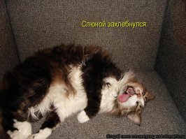 Трагедия с полным кузовом пива