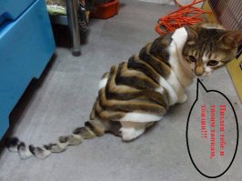 25 фотографий, которые заставят вас почувствовать себя неловко 