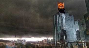 Фото приколы и картинки с юмором