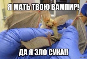 Последний звонок 2016: к чему готовиться в этом году 