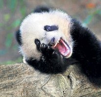 А уже через десять минут его жене в Ашане этими деньгами сдачу дали