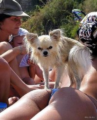 Сезон отпусков – 2016: куда россиянам поехать отдыхать без проблем и ограничений