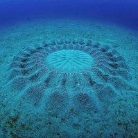 это просто разные разрешения