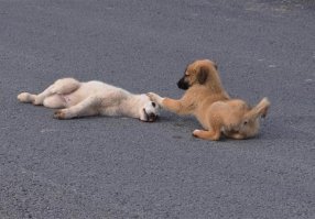 Ужасно - красиво!