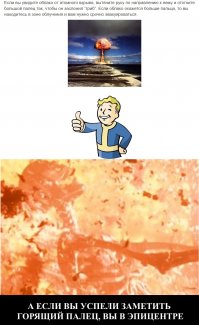  Интересные факты  