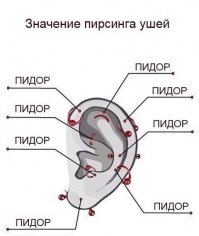 Подборка мотивашек и прочих прикольных картинок-баянов