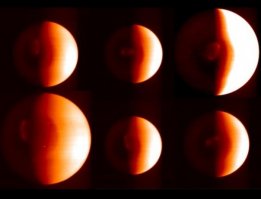 Это как паук видит сиськи...