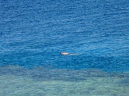 самое красивое для меня - Красное море