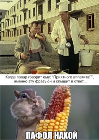 Подборка мотивашек и прочих прикольных картинок-баянов